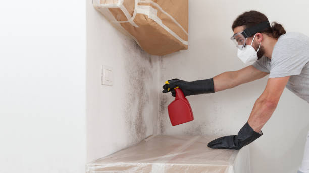 Professional Crawl Space Mold Removal technician working in Clark, NJ