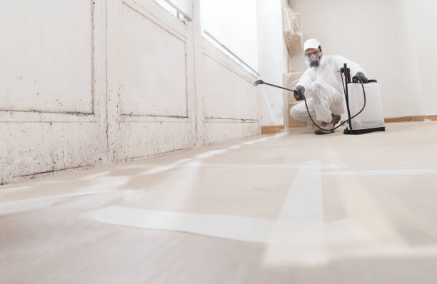 24/7 Emergency Crawl Space Mold Removal experts in Clark, NJ
